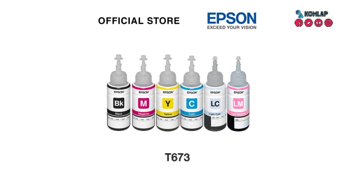 Epson T673 Ink Bottle 