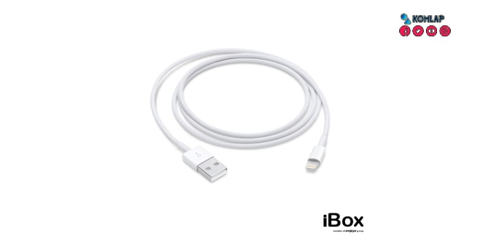 APPLE Lightning to USB Cable